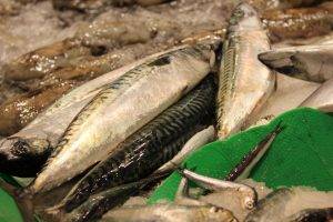 Explore Costa Brava, Foodies, Peixeteria Sarah in Sant Feliu de Guixols