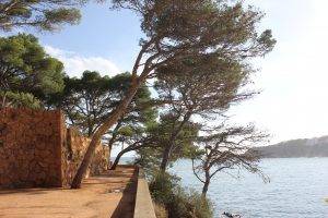 Platja Sant Pol coastal walk