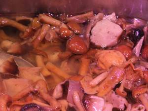 ...a cocktail of wild mushrooms in olive oil