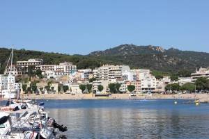 Looking across the bay