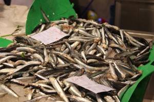 These are "sonsos" like white bait. They are usually coated in flour and deep fried