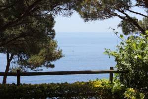 The fantastic first-line views. Compeletely uninterrupted