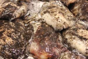The cuttlefish has that inky colour