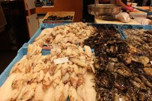 We have squid on the left and cuttlefish on the right