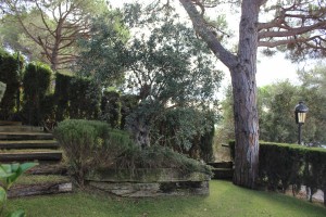 One of the gardens