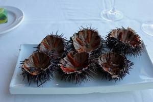 They do great fresh seafood like their famous sea urchins...