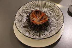 Pictures from a tasting menu - sea urchin...