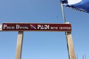 You can even get a diving qualification if you have time