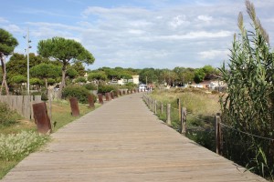 With your back to Sant Feliu, start on this wooden path...