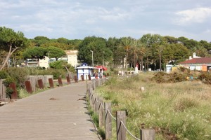 Continue along the wooden path