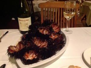 If the month has a "r" in it, then you can sample delicious sea urchins