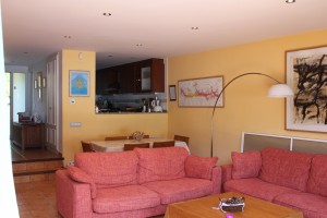 Dining area and American kitchen